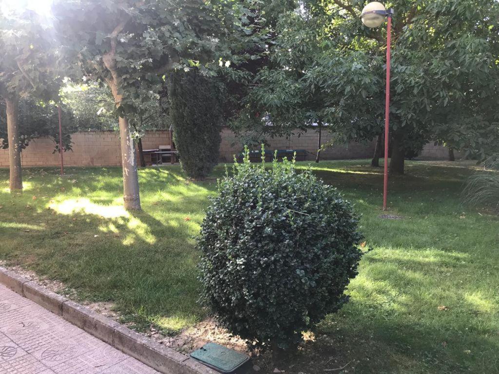 بيت شباب Residencia Hospital Del Rey Burgo المظهر الخارجي الصورة